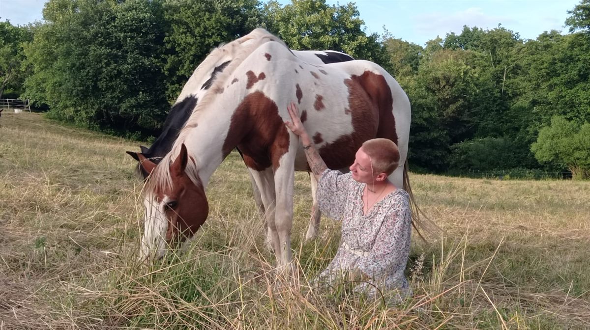 Elisabeth Diedler sitzt auf der Wiese neben einem grasenden Schecken